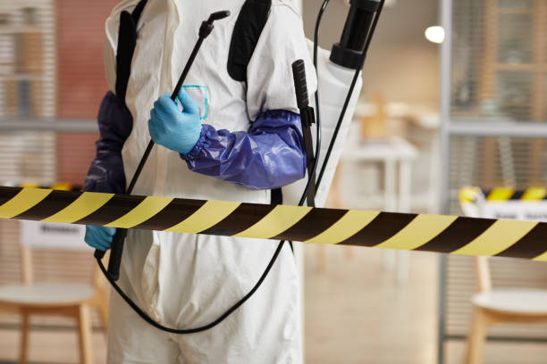 Professional Sewage Cleanup technician working in Brownsville, OH